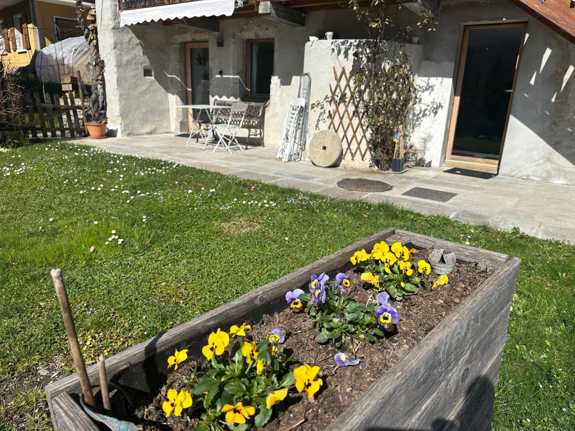 Dans Hameau, Pres Des Pistes Logement De Plein Pied Au Calme Taninges Ngoại thất bức ảnh